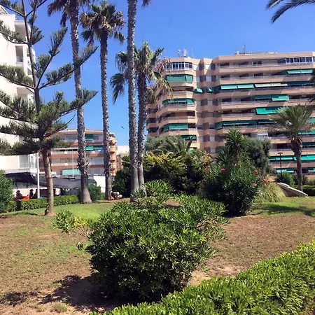 Apartmento Hana Con Terraza - Despues De La Renovacion General La Mata (Torrevieja)